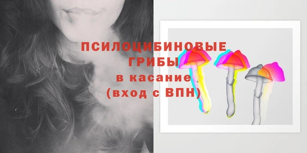 мдпв Лихославль